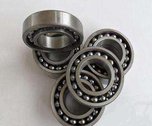 306/C3 Bearing Free Sample